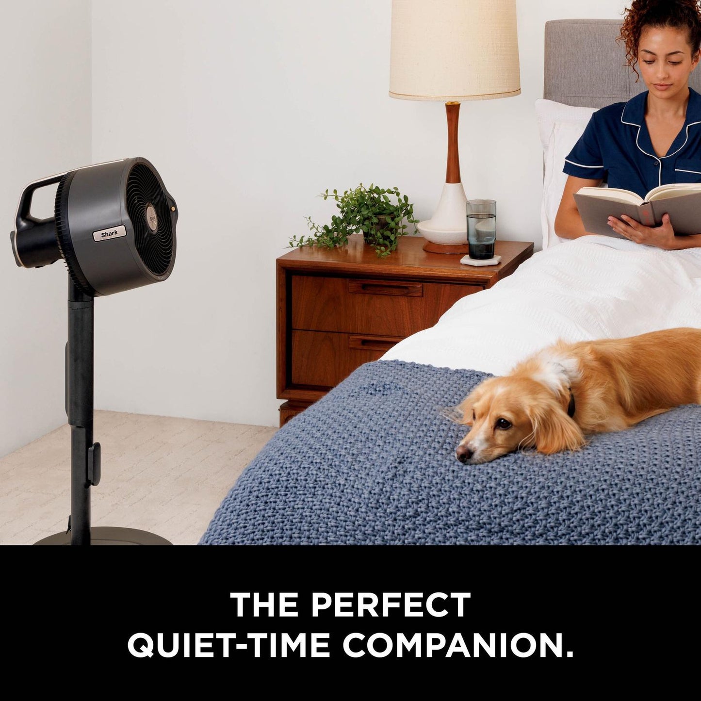 Shark FA300UK Shark FlexBreeze Pro Mist Indoor & Outdoor Fan & Outdoor Misting System - Dark Gray