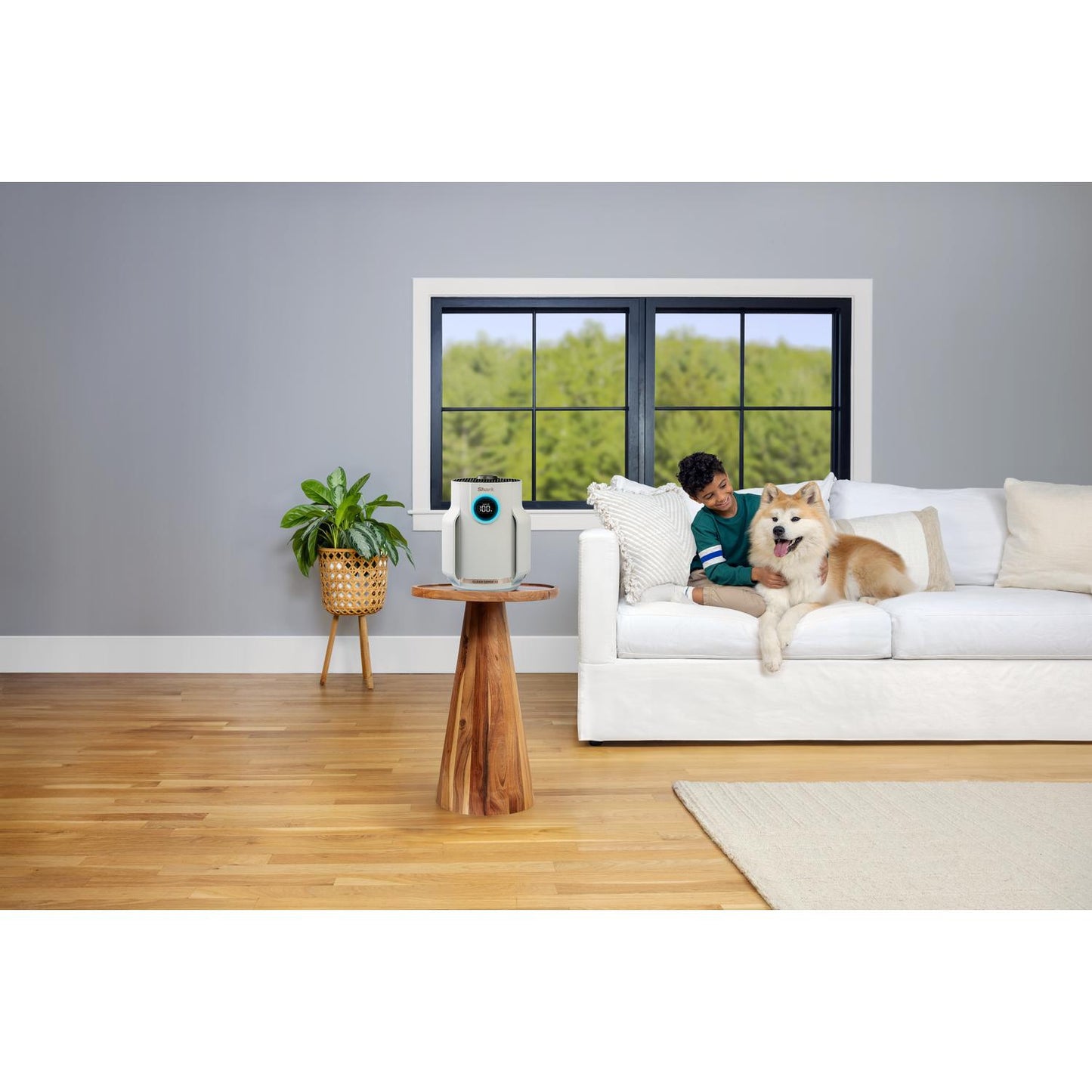 Shark HP072UK Shark NeverChange5 Air Purifier Compact Pro - Dove