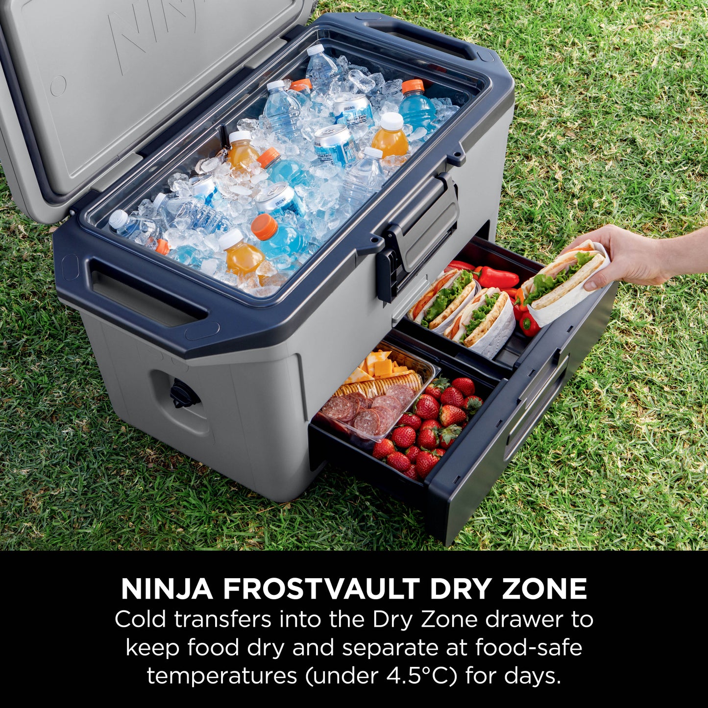 Ninja FB151UKGY FrostVault 50QT/47L Hard Cooler with Dry Zone - Slate Grey