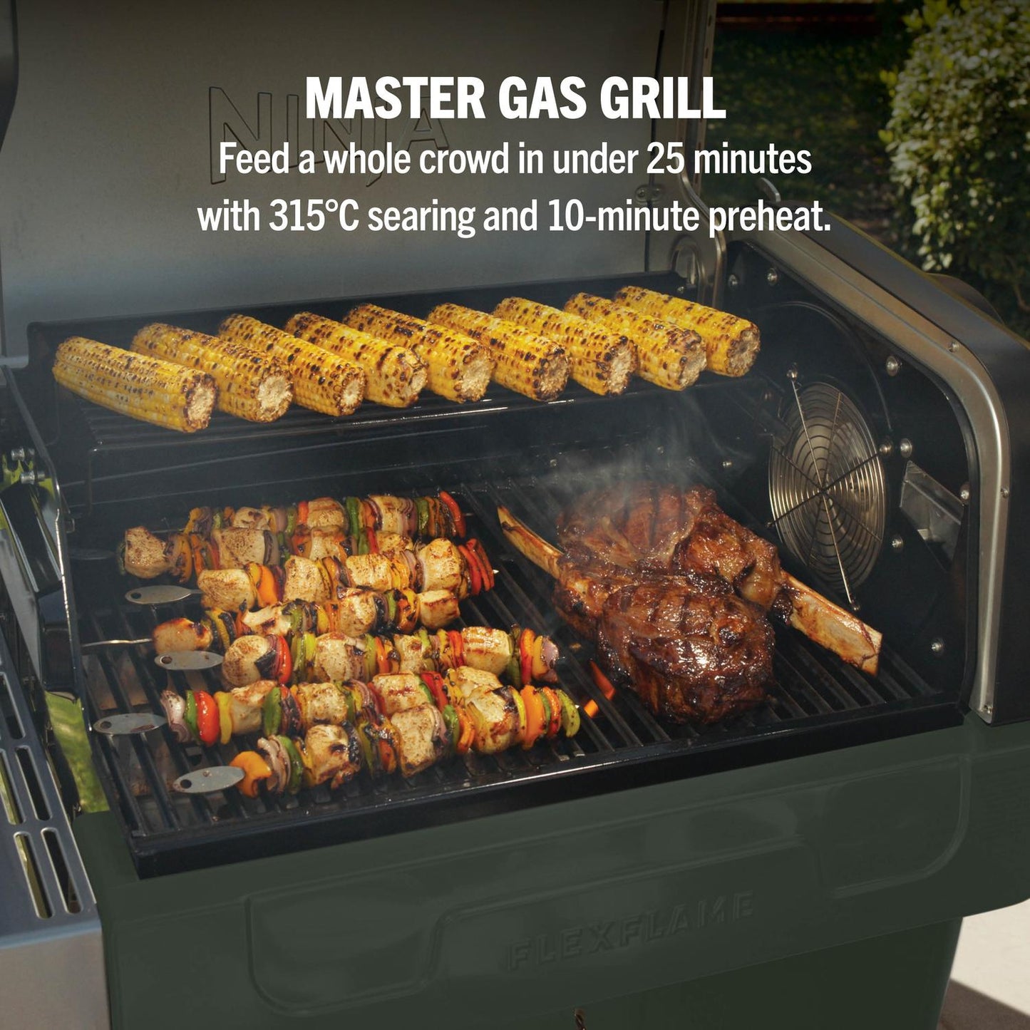 Ninja PG301UKGN FlexFlame Gas BBQ & Outdoor Cooking System - Green