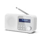 Sharp Portable Digital Radio