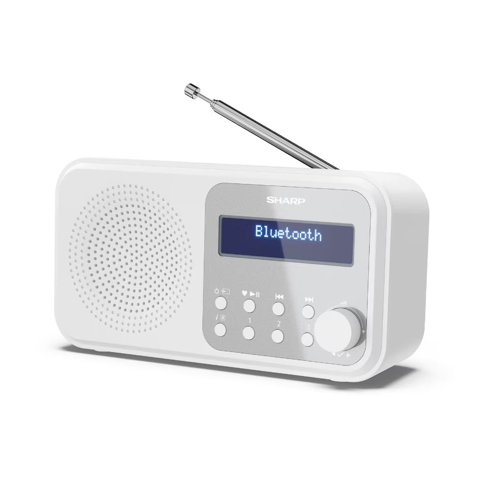 Sharp Portable Digital Radio