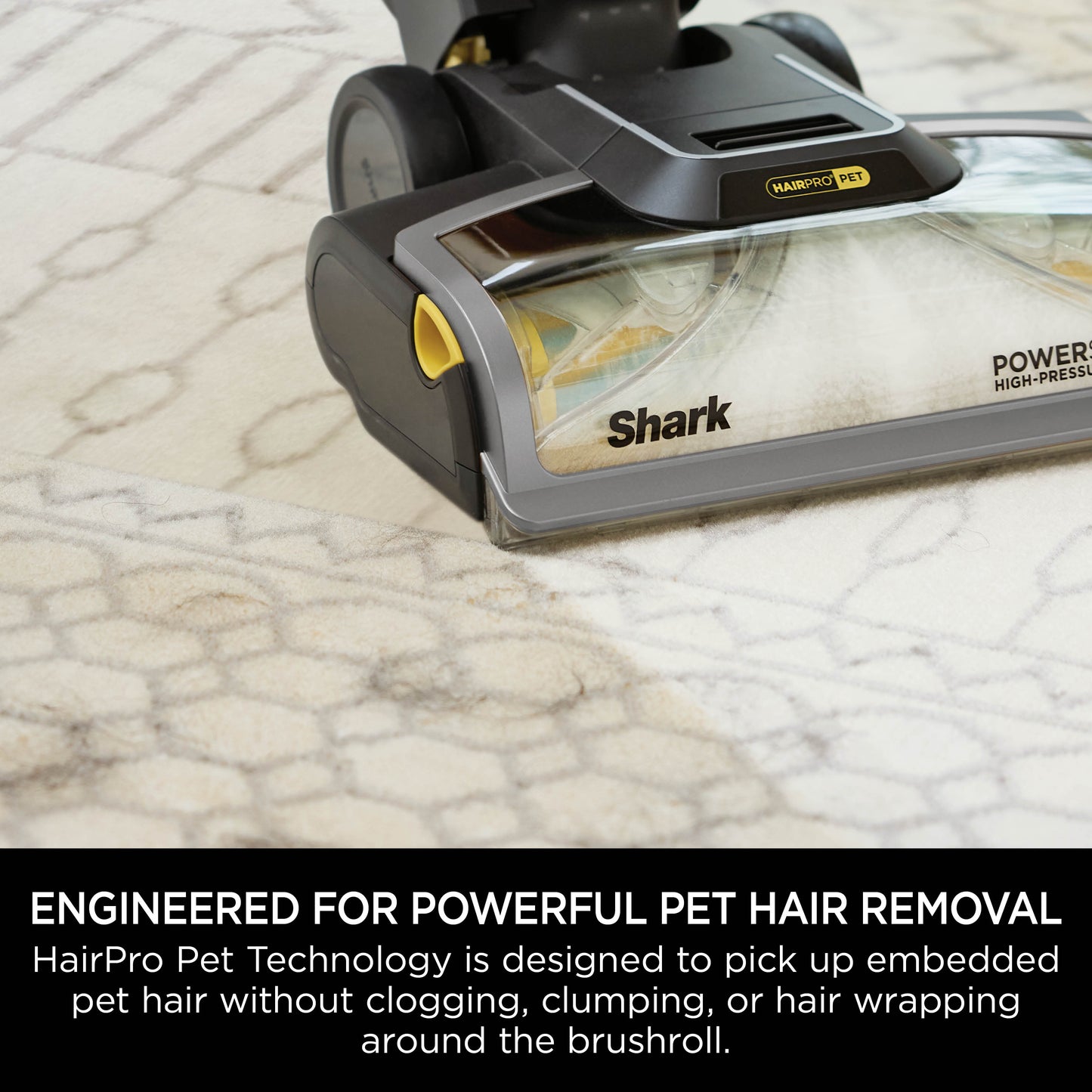 Shark EX300UK CarpetXpert Carpet Cleaner with Built-In Stain Striker - Charcoal & Fuchsia
