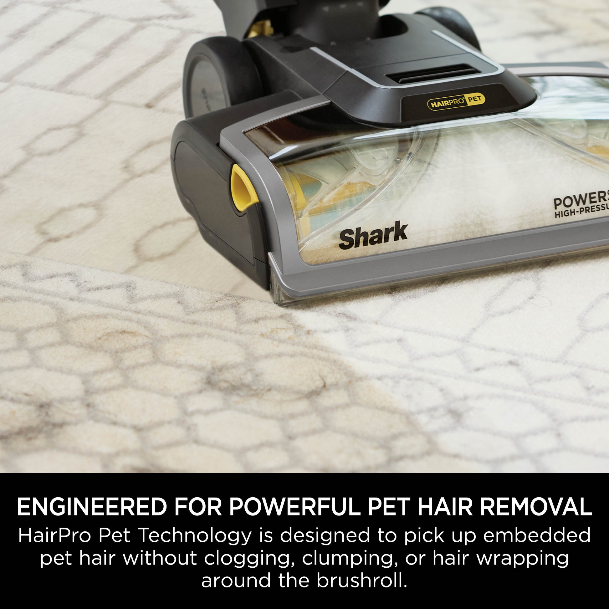 Shark EX300UK CarpetXpert Carpet Cleaner with Built-In Stain Striker - Charcoal & Fuchsia