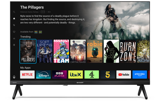 Sharp 1T-C24HE2245KB HDR TV - Black