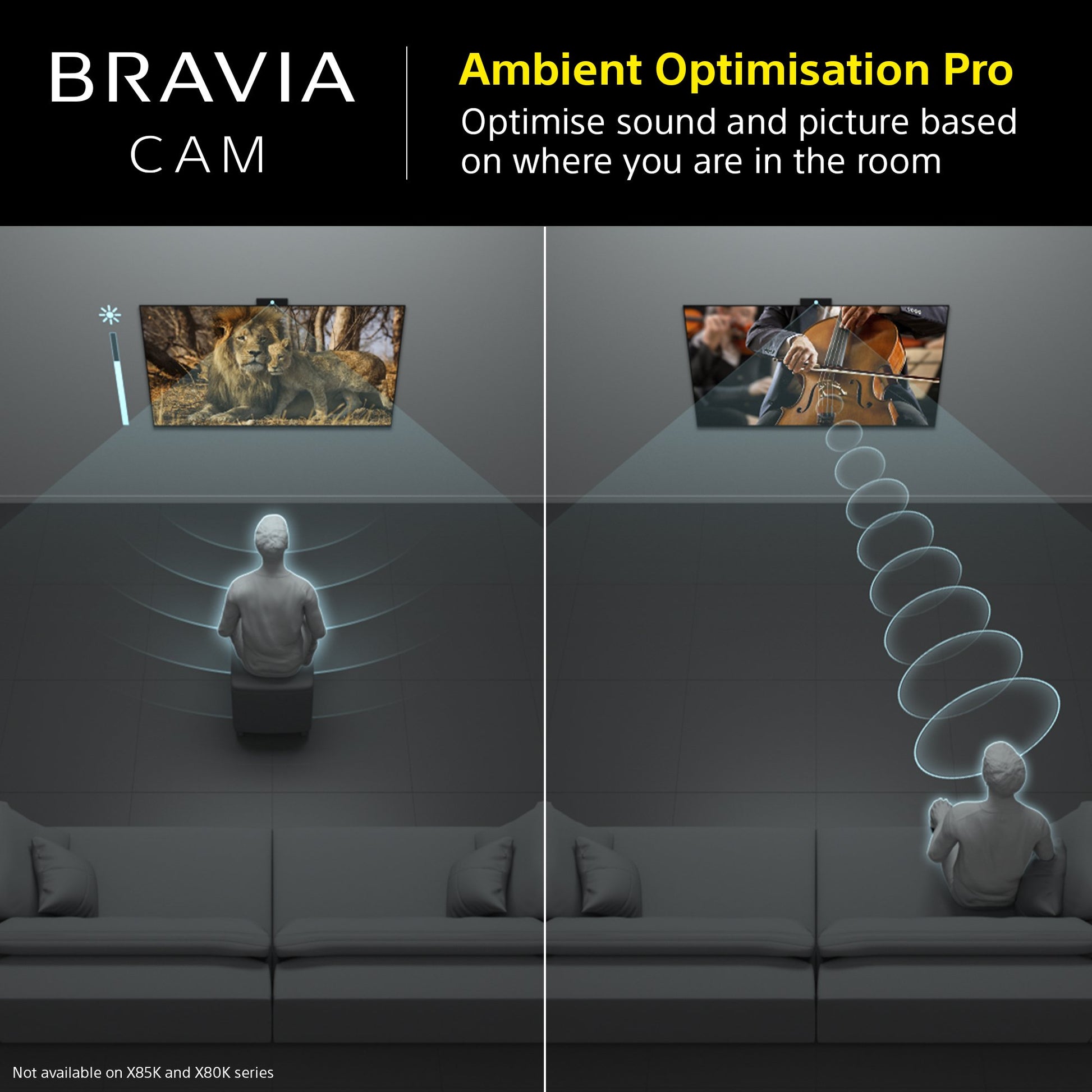 Sony CMUBC1_CE7 Bravia Web Cam