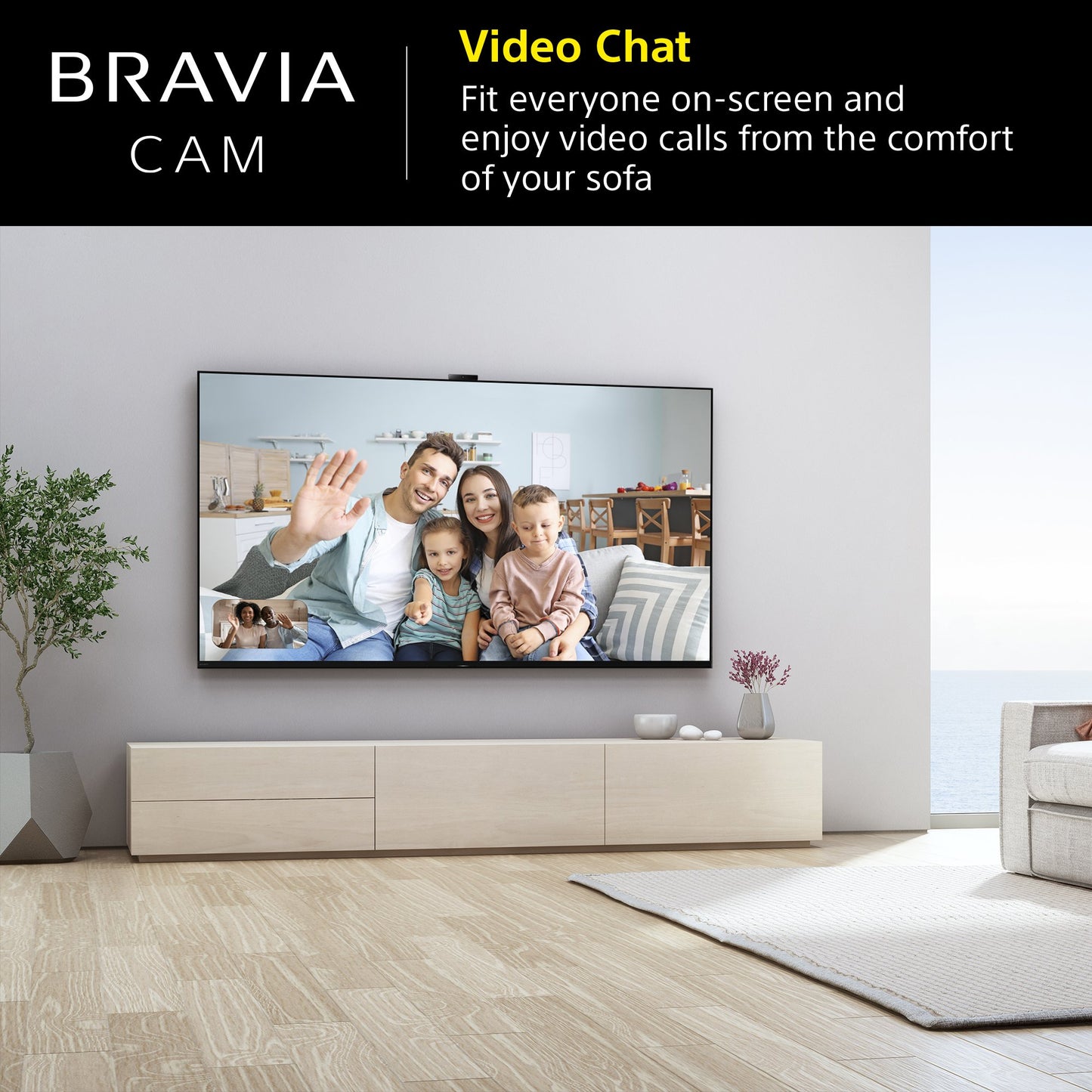 Sony CMUBC1_CE7 Bravia Web Cam