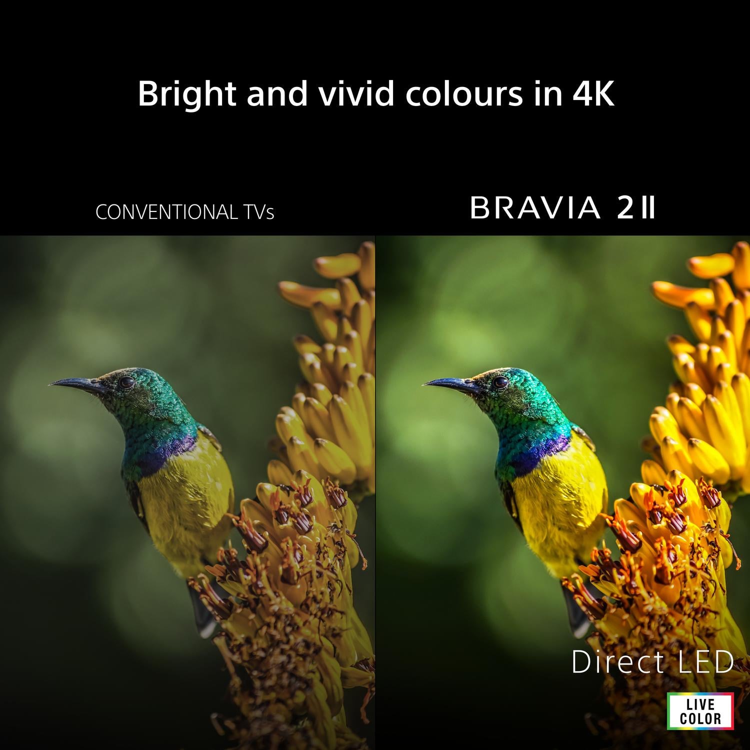 Sony K75S25M2PB.UKA 75" 4K BRAVIA 2 II Direct LED Google TV