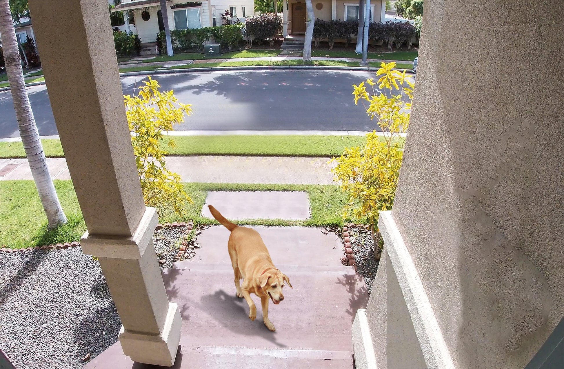 TP-Link TAPOD230S1 Smart Battery Video Doorbell Camera Kit - White